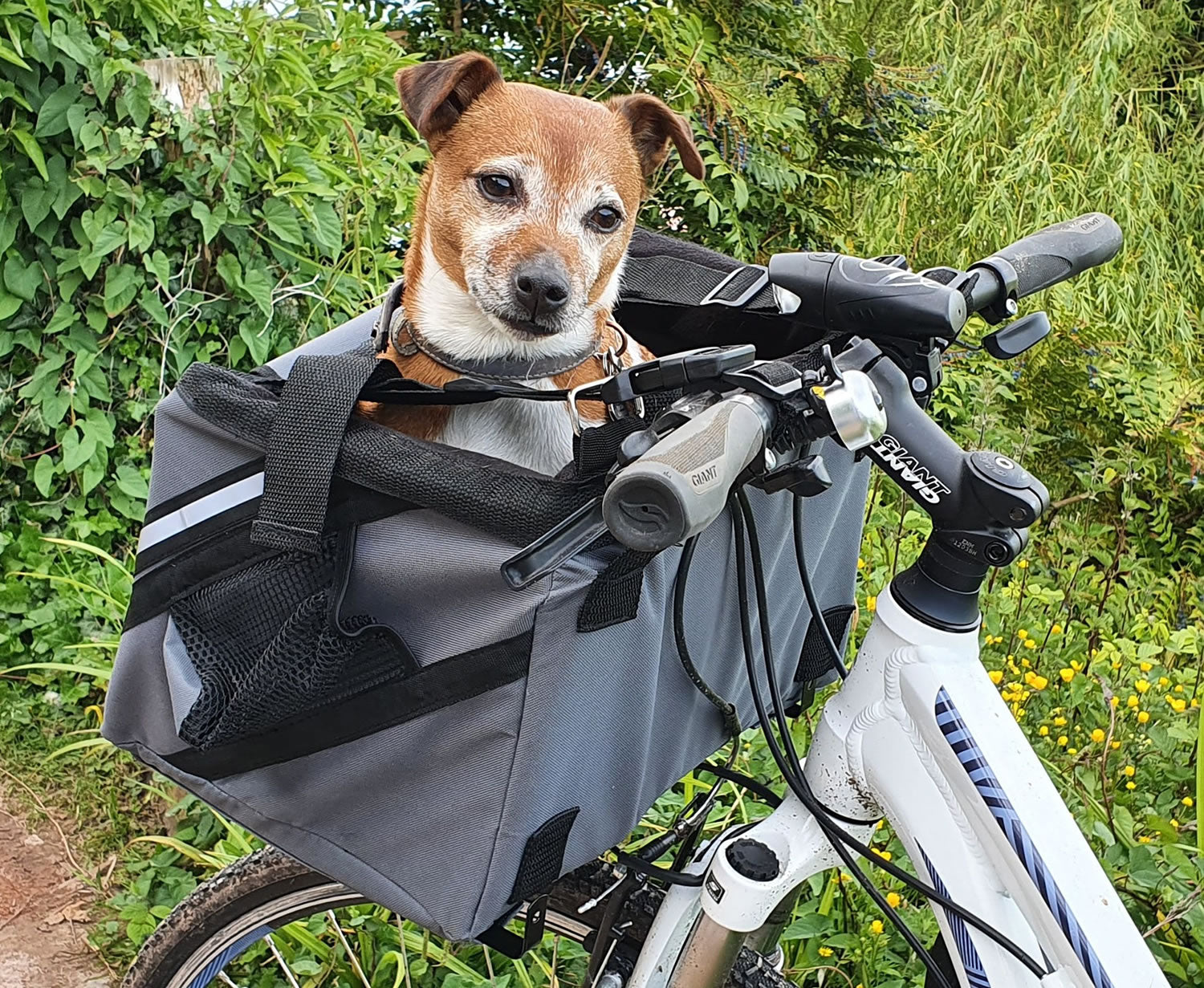 Henry Wag Pet Bike Seat Basket Grey