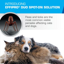 Load image into Gallery viewer, Virbac Effipro Duo For Cats &amp; Dogs
