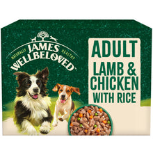 Load image into Gallery viewer, James Wellbeloved Adult Dog Food Lamb &amp; Chicken In Gravy Pouches 90g
