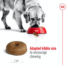 Load image into Gallery viewer, Royal Canin Maxi Ageing 8+ Dry Dog Food 1 x 15Kg
