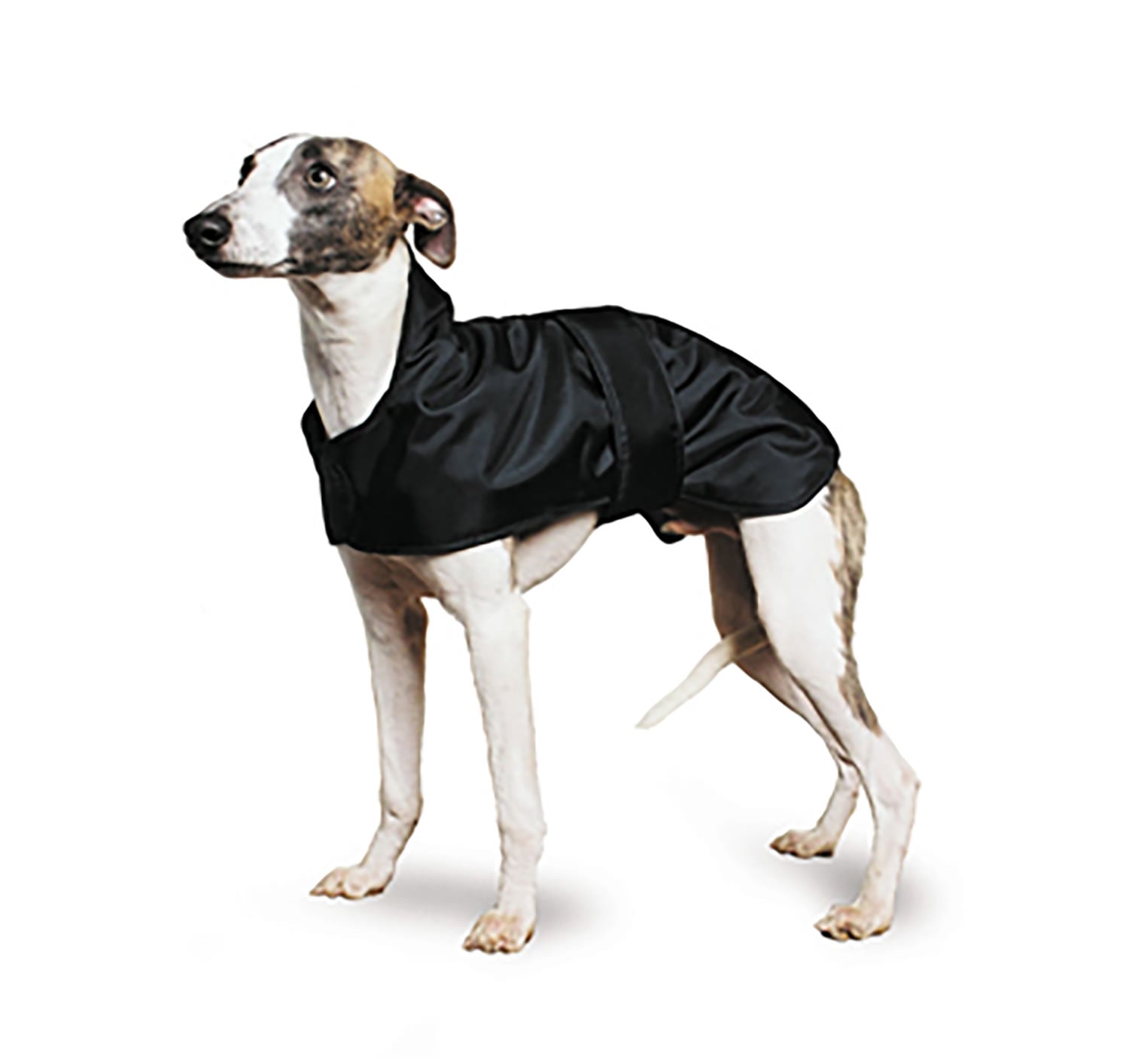 Ancol Hound Dog Coat Black