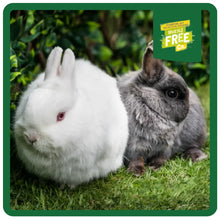 Load image into Gallery viewer, Burgess Excel Rabbit Food Nuggets For Junior &amp; Dwarf Breeds With Mint
