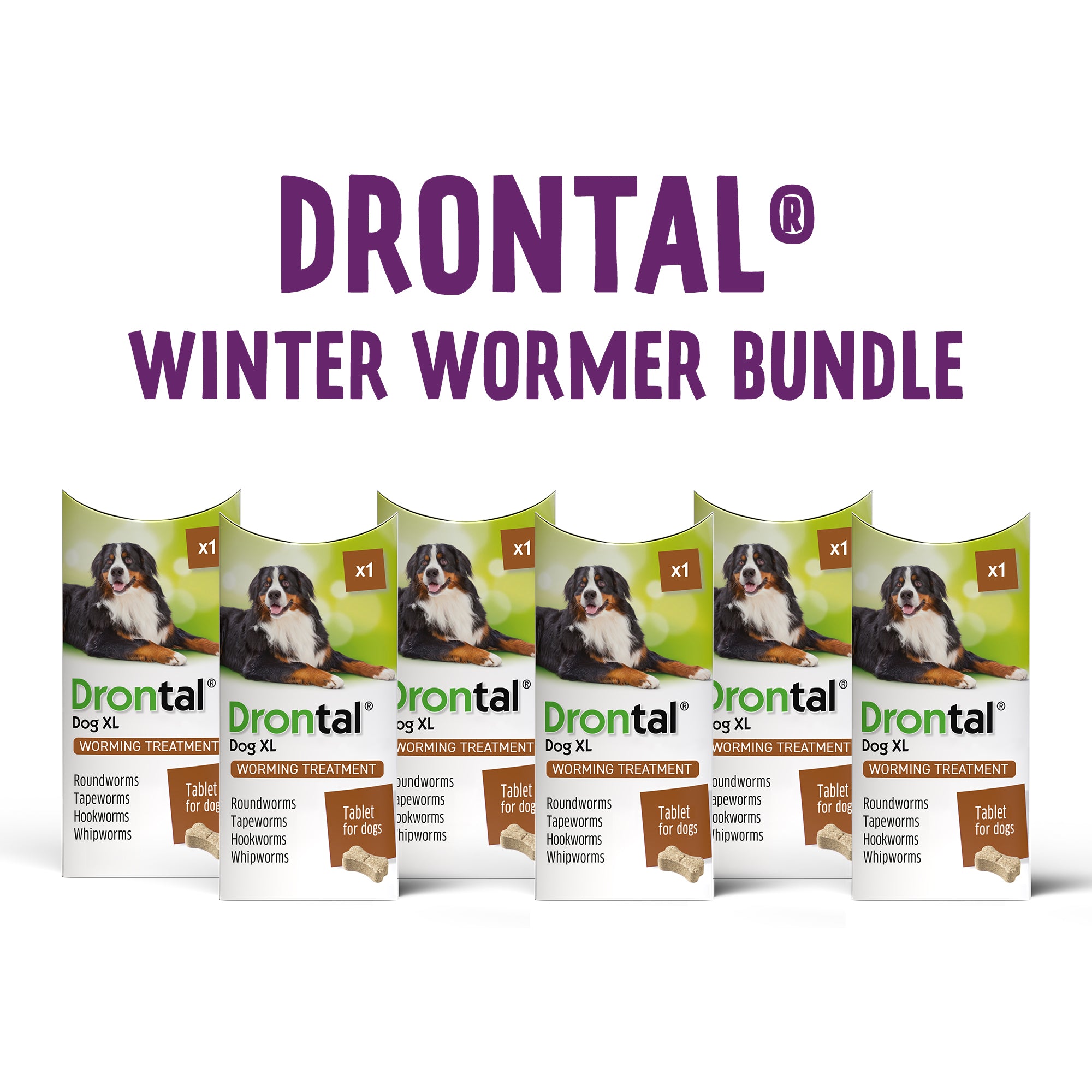 Drontal tasty bone tablets best sale