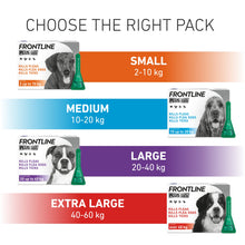 Load image into Gallery viewer, Frontline Plus Flea &amp; Tick Treatment For Cats &amp; Dogs
