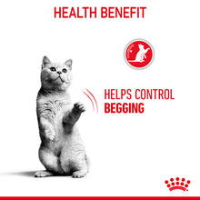 Load image into Gallery viewer, Royal Canin Appetite Control Care in Gravy Adult Wet Cat Food 12 x 85g
