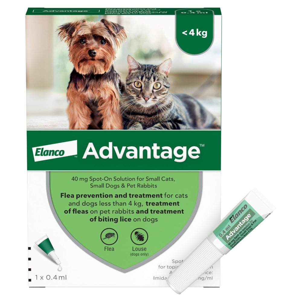 Advantage Spot On Flea Treatment x 1 Pipette Direct4Pet Free Delivery