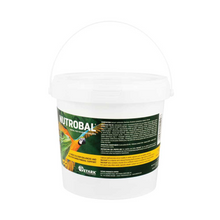 Load image into Gallery viewer, Nutrobal Reptile &amp; Bird Mineral Feed Supplements 50g &amp; 100g &amp; 250g &amp; 1kg
