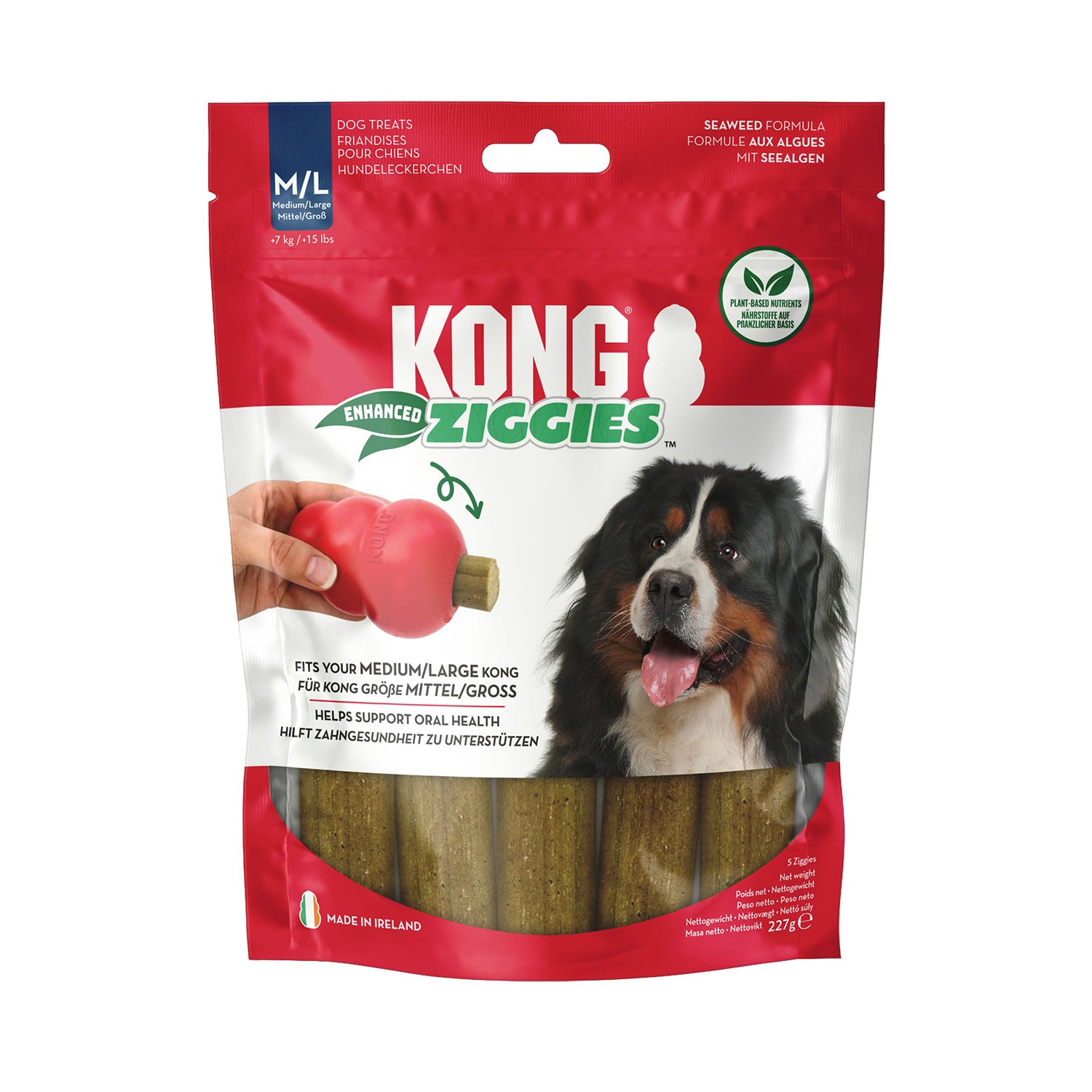 KONG Ziggies Enhanced Chews Medium Large Direct4Pet Free Delivery