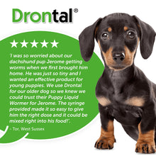 Load image into Gallery viewer, Drontal Puppy Liquid Wormer - All Sizes
