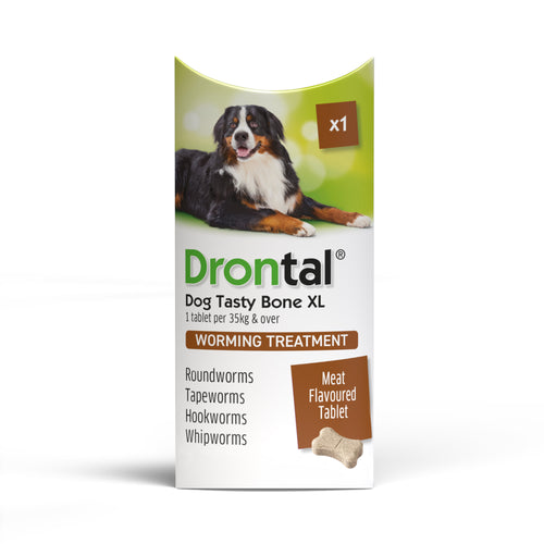 Drontal Tasty Bone XL Wormer Tablets - Large Dogs - Over 35kg - All Pack Sizes