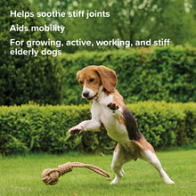 Load image into Gallery viewer, Beaphar Flexifit Dog Chews Advanced Joint Supplement
