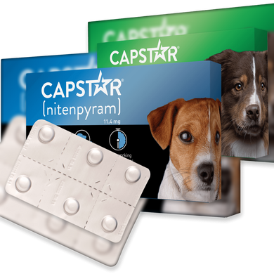 Capstar Flea Tablets For Cats & Dogs