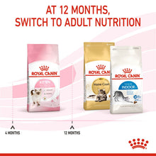 Load image into Gallery viewer, Royal Canin Nutritional Dry Cat Kitten Food
