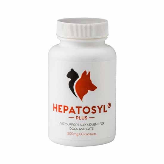 Hepatosyl Plus Capsules For Cats & Dogs