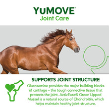 Load image into Gallery viewer, YuMOVE Joint Care for Horses
