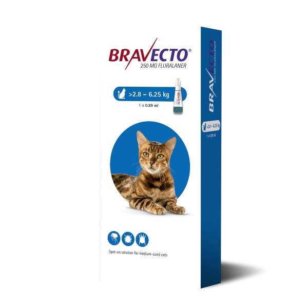 Bravecto (Fluralaner) Flea And Tick Spot On For Cats