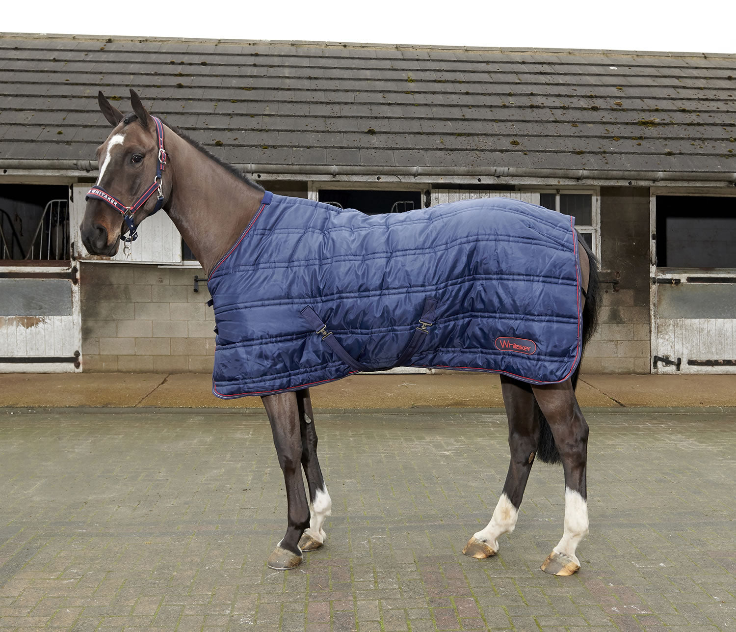 Whitaker Rastrick Stable Rug 200g Navy/Reflective- Various Sizes 