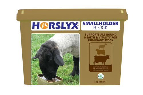 Horslyx Small Holder Block For Horses 5kg 