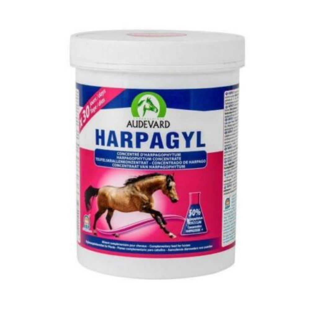 Audevard Harpagyl Horse Equine Musculoskeletal Support