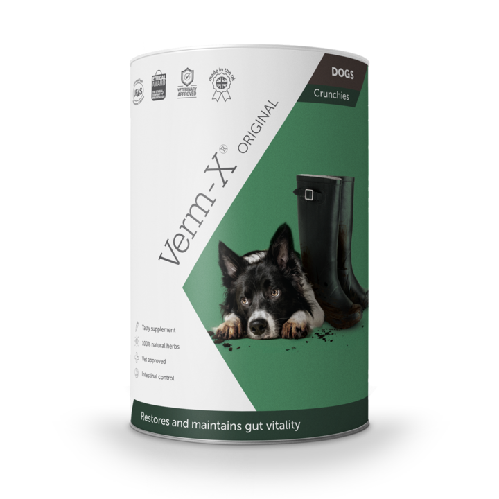 Verm-X Original Herbal Treats For Cats Or Dogs