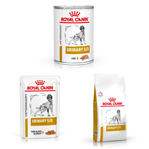 Royal Canin Dog Food Urinary S/O Veterinary Health Nutrition Canine Wet & Dry