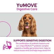 Load image into Gallery viewer, YuMOVE Digestive Care for All Dogs | Various Sizes 
